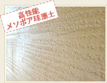 高性能メソポア珪藻土